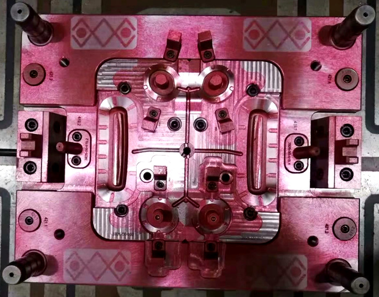 mold 483